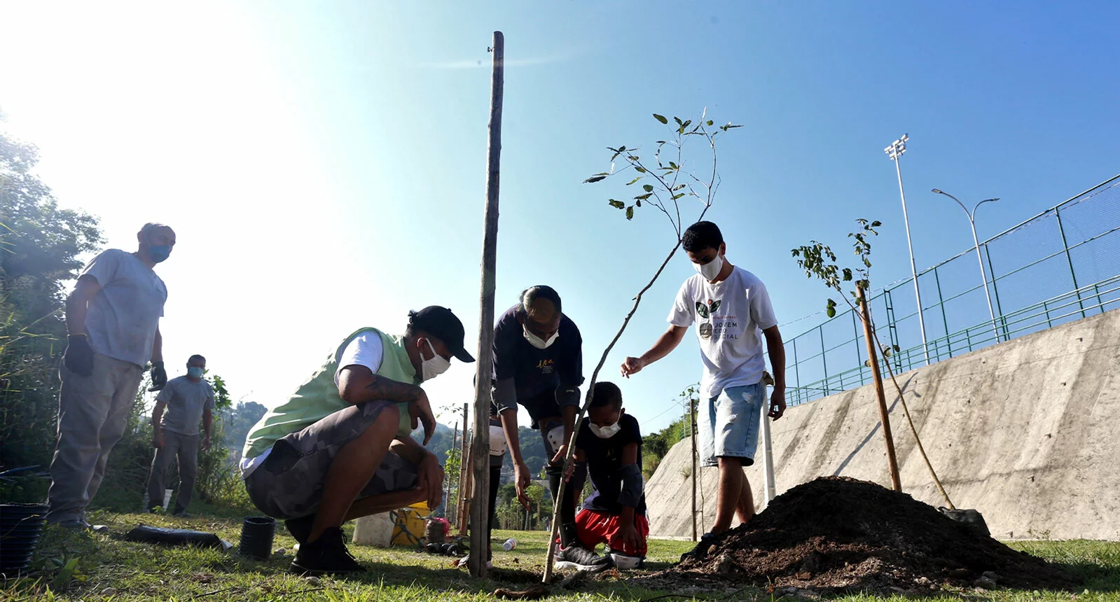 Several people gather around a tree they are planting